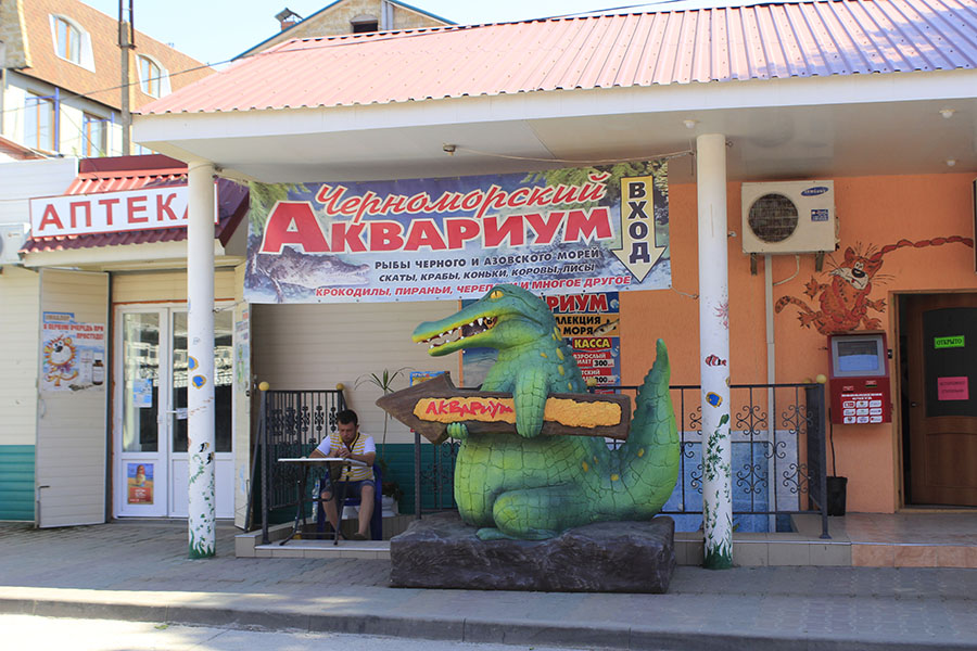 Отдых с детьми в Николаевке: аквариум